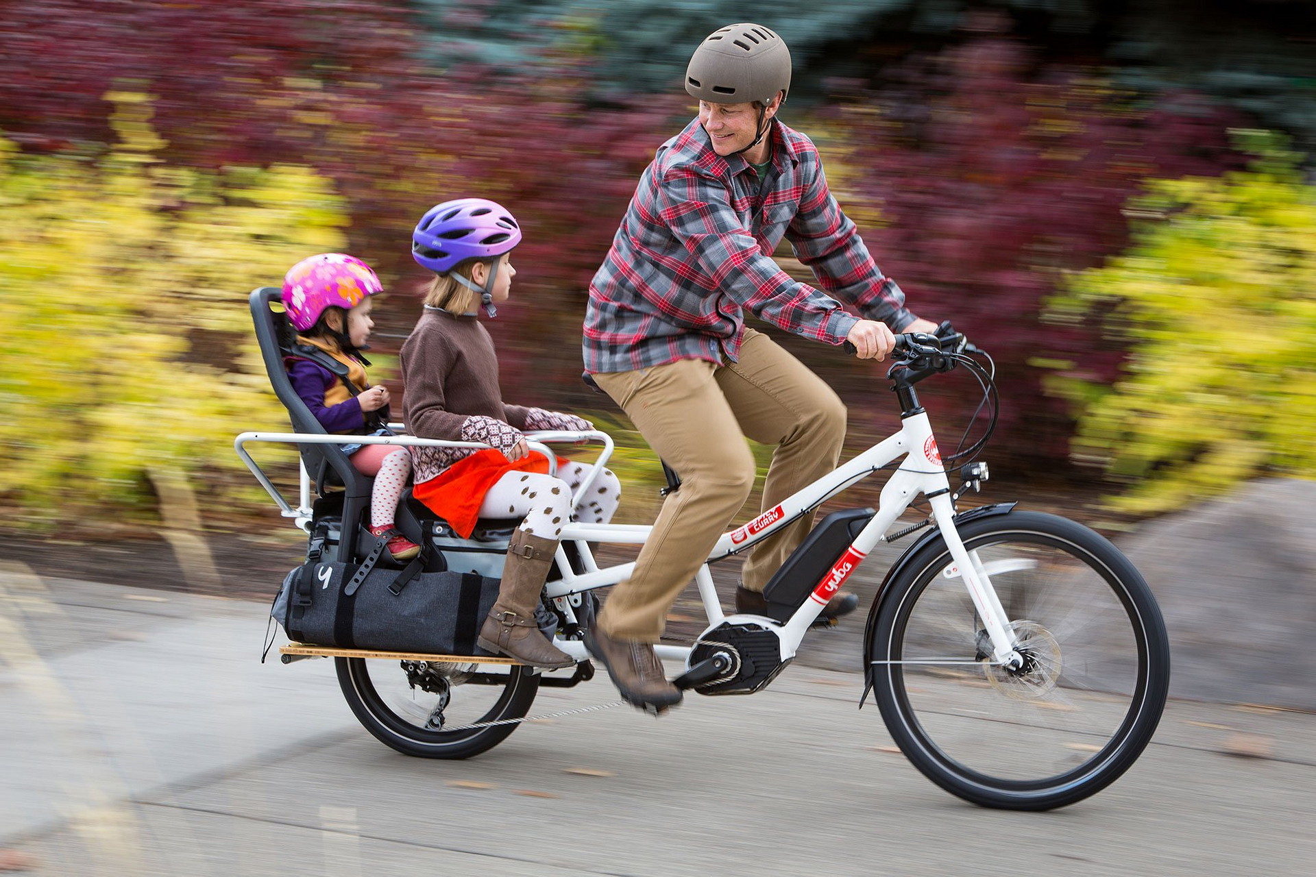 2018 radwagon electric cargo bike